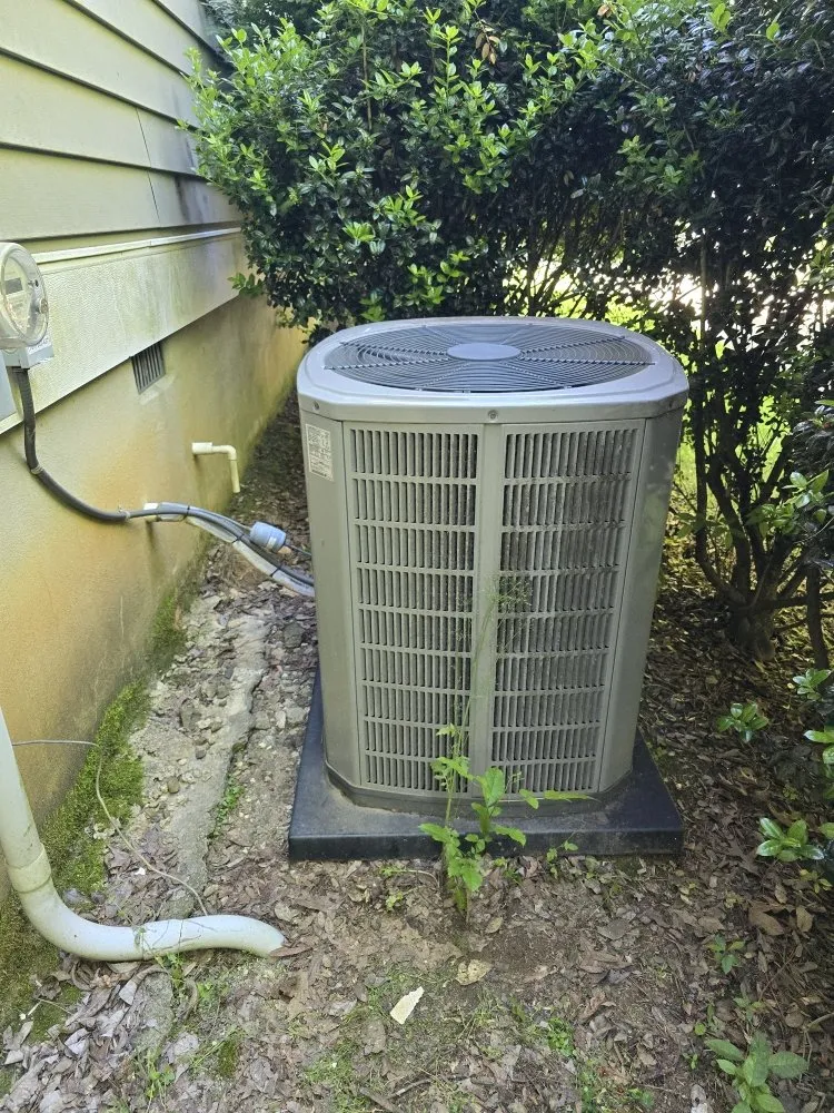 Slide of CCRI Services