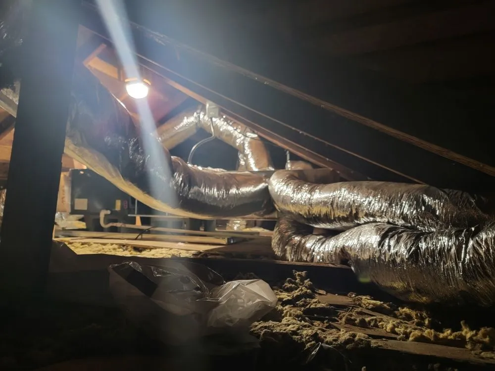 Slide of CCS Services & Solutions