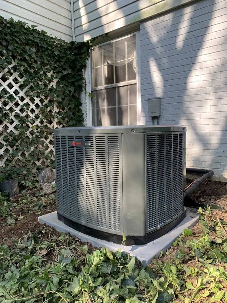 Slide of C.D. Shanahan’s