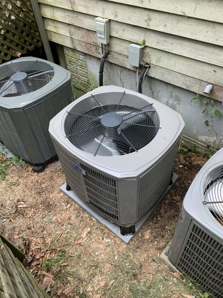 Slide of C.D. Shanahan’s