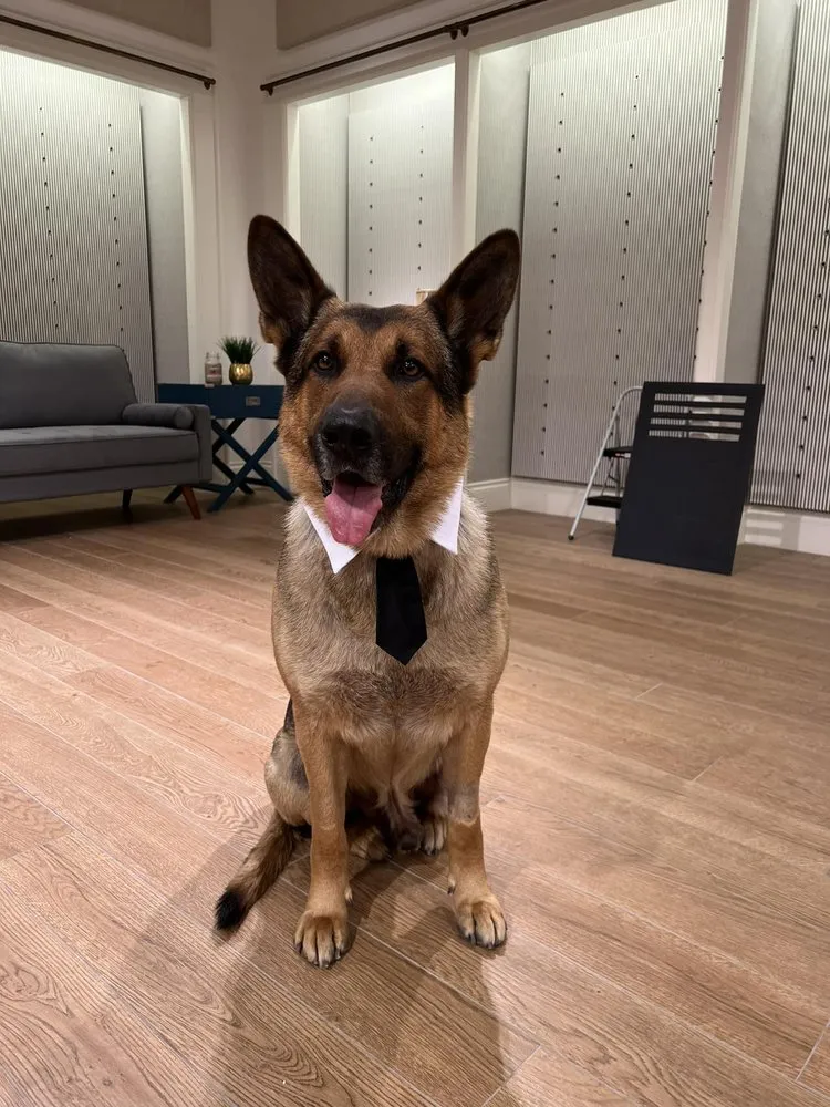 Slide of Cellino Plumbing, Heating, Cooling & Electric