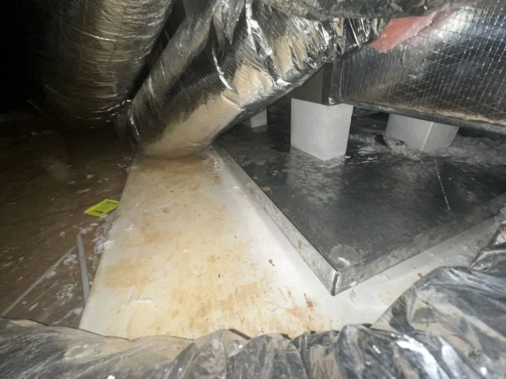 Slide of Celsius Residential