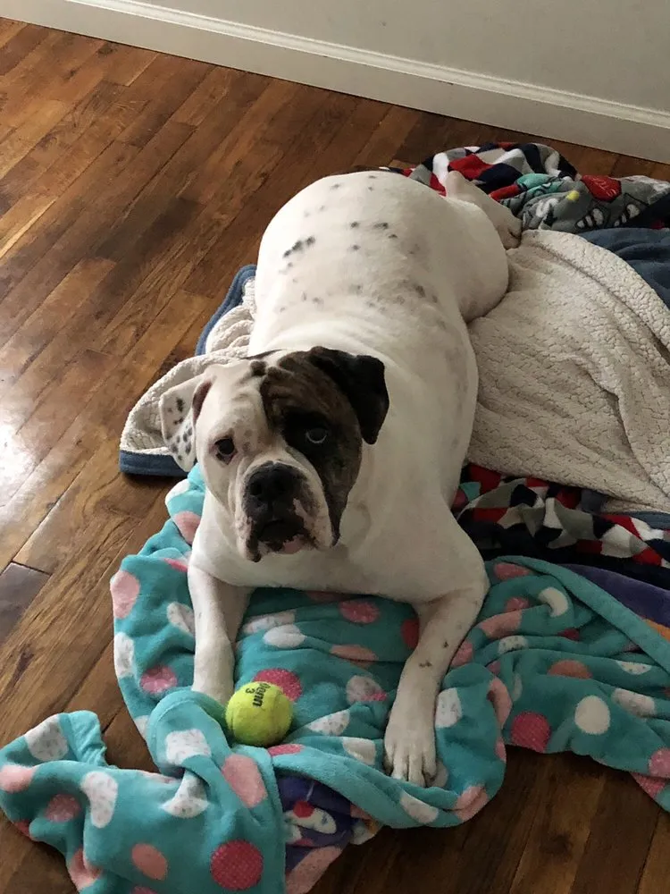 Slide of Centigrade Heating & Cooling