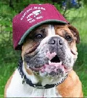 Slide of Central Mass Oil Inc