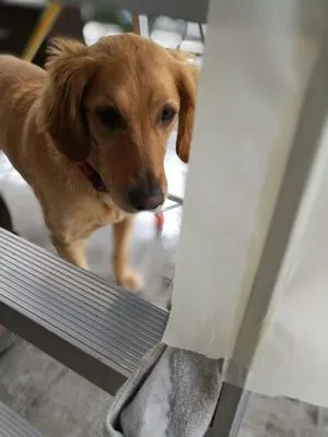 Central Valley Duct Testing Logo