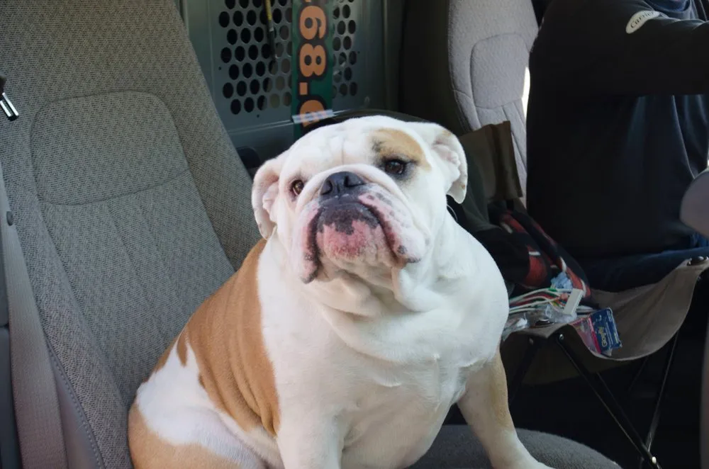 Slide of Centsible Heating & Air Conditioning