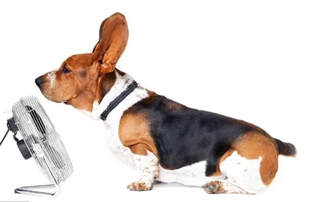 Slide of Century Air Conditioning