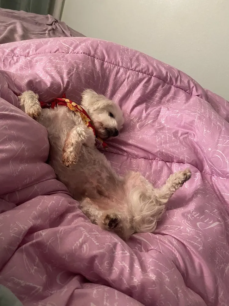 Slide of Certified Air Conditioning - Maui