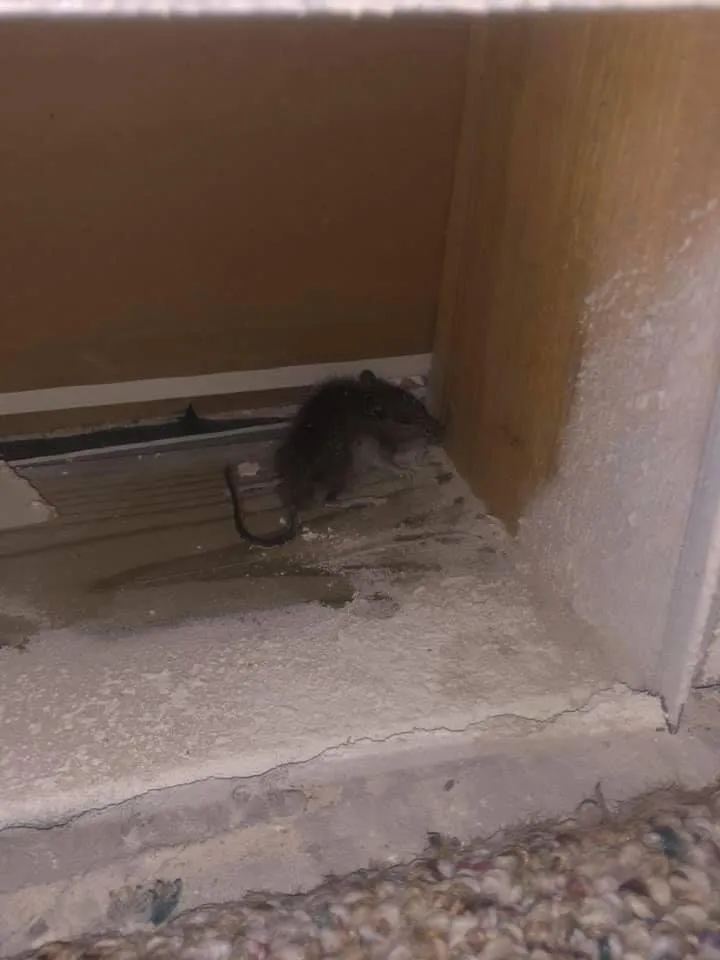 Slide of CES-TECH Heating and Cooling