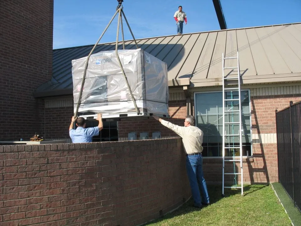 Slide of Champion and Nash