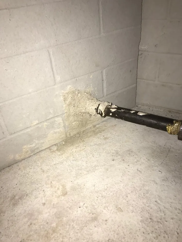 Slide of Champion Chimney Sweeps