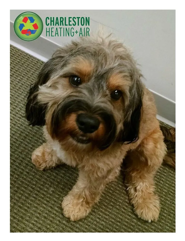 Slide of Charleston Heating and Air
