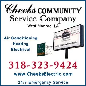 Cheeks Community Service Company Logo