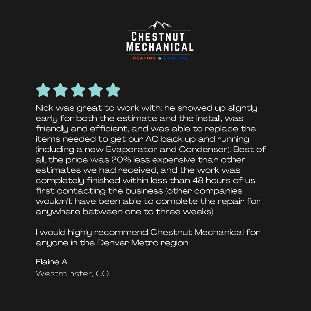 Slide of Chestnut Mechanical