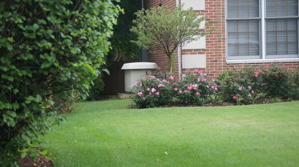 Slide of Chicago Generators