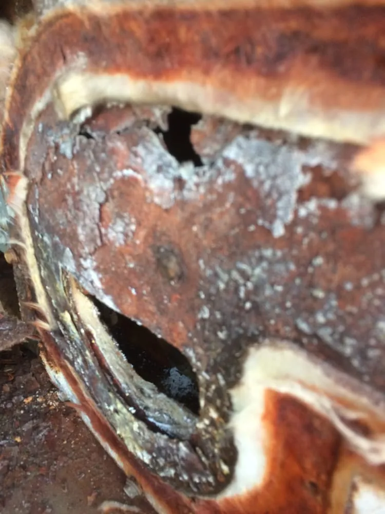 Slide of Chicagoland Heating & Cooling