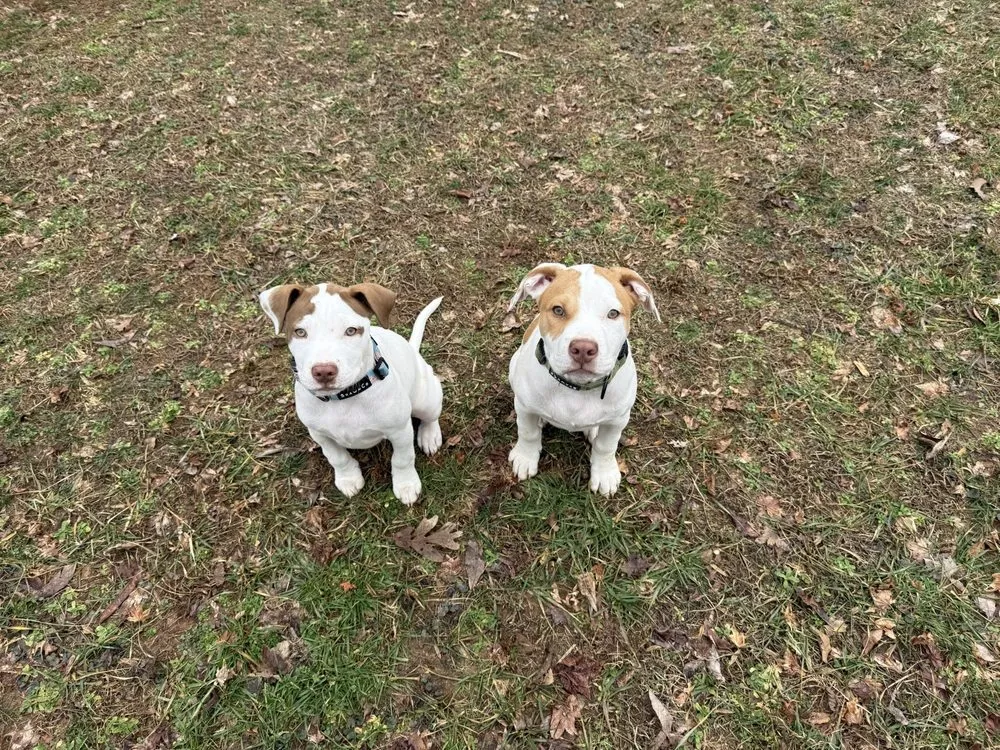 Slide of Childress Heating & AC