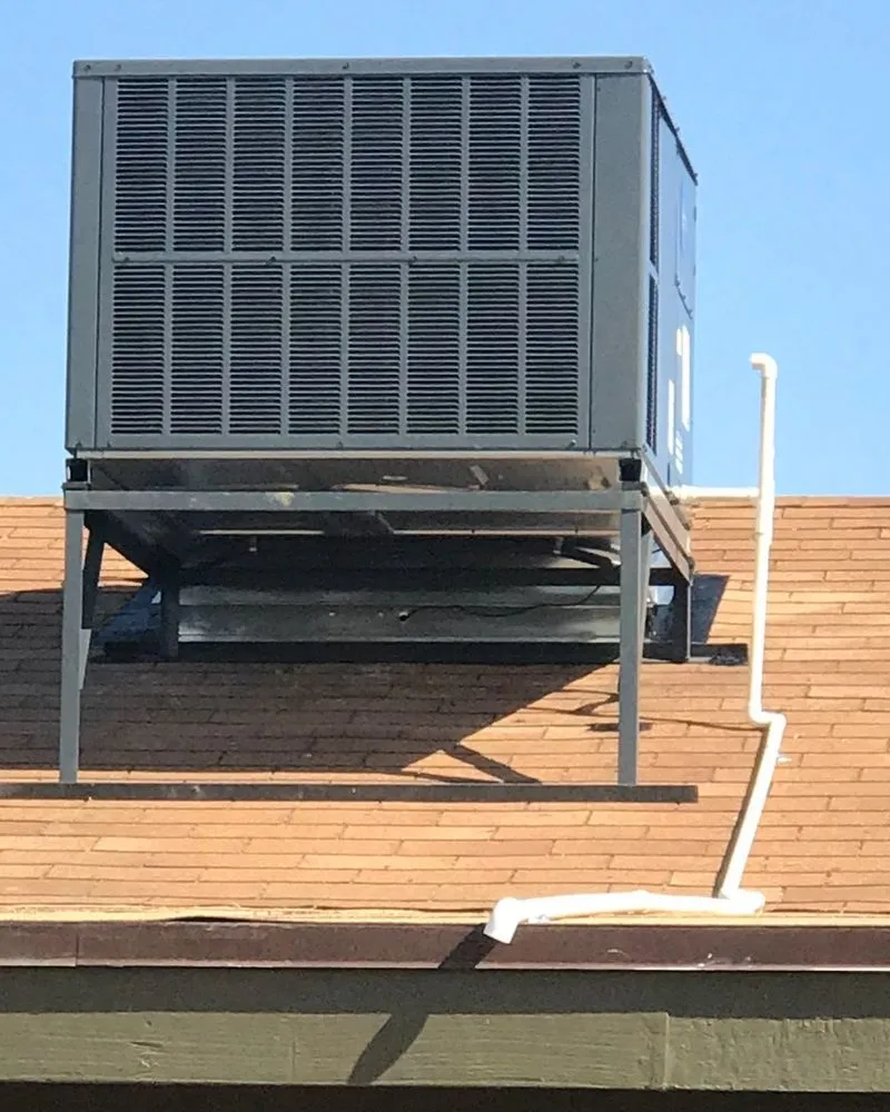 Slide of Chill Doctor