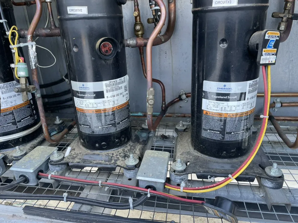 Slide of Chilly P’s