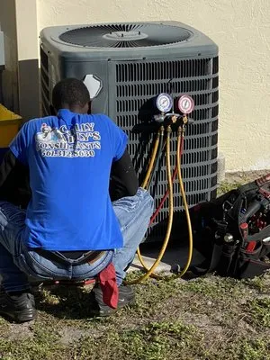 Chilly Willy Consultants Logo