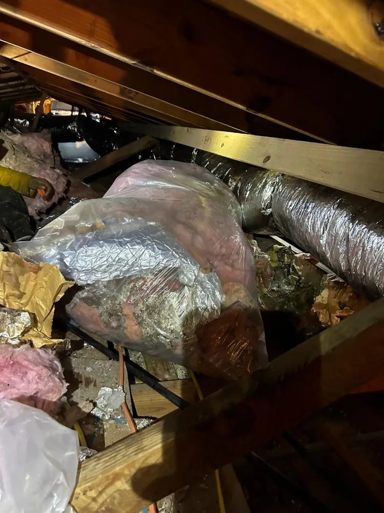 Slide of Chimney and Insulation Solutions