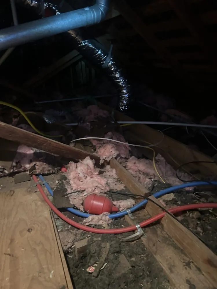 Slide of Chimney and Insulation Solutions