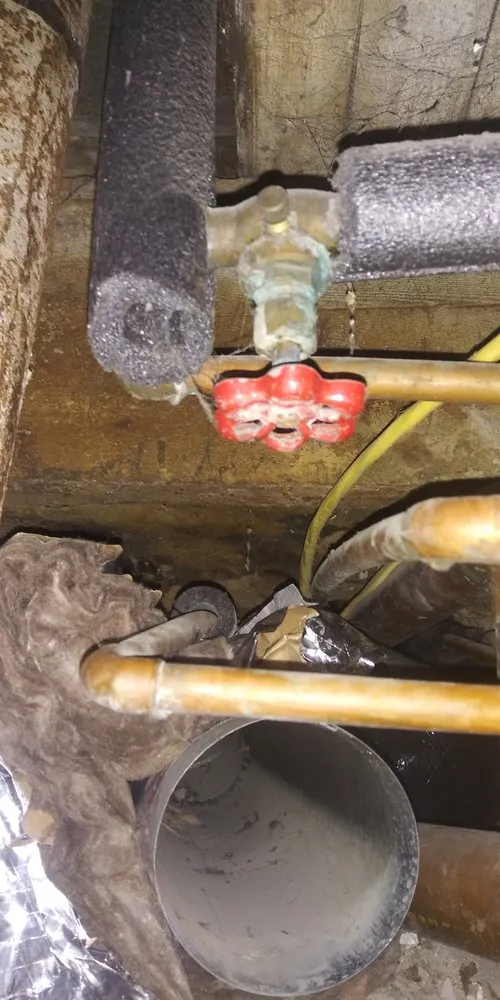 Slide of Chris Conicello