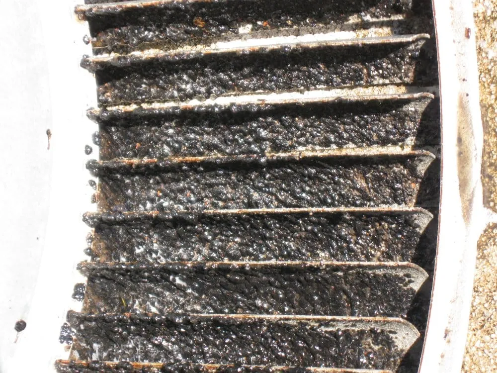 Slide of Chuck's Ducts