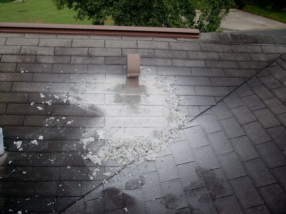 Slide of Chuck's Ducts