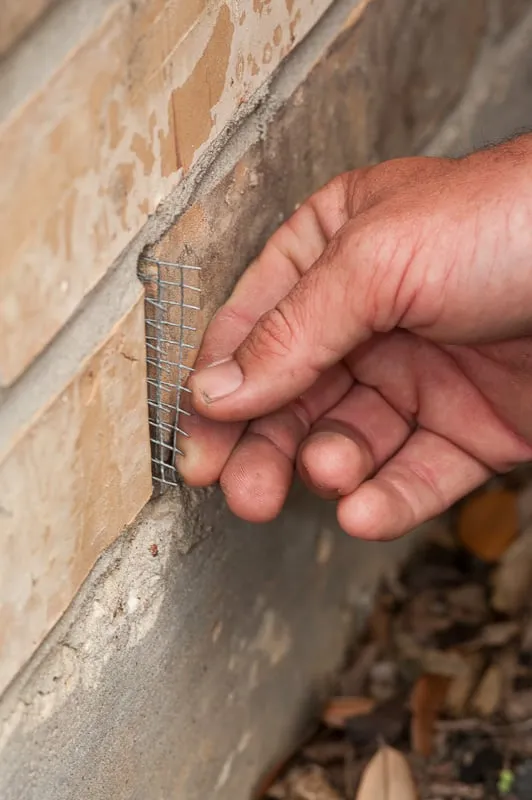 Slide of Church Services