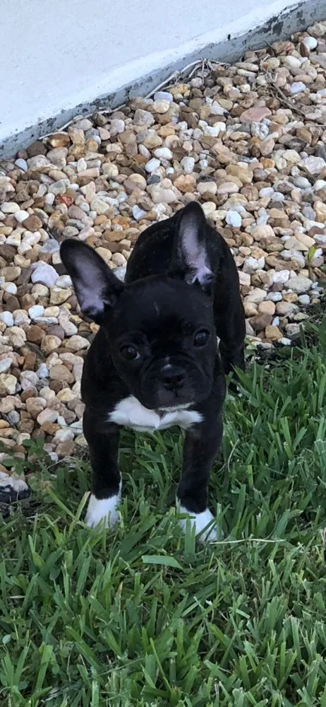 Slide of C&J Air Conditioning