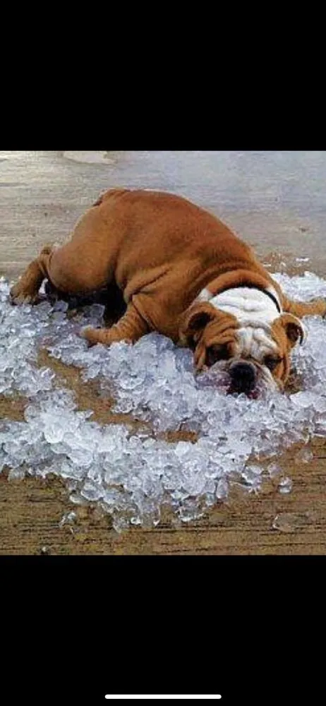 Slide of C&J Air Conditioning