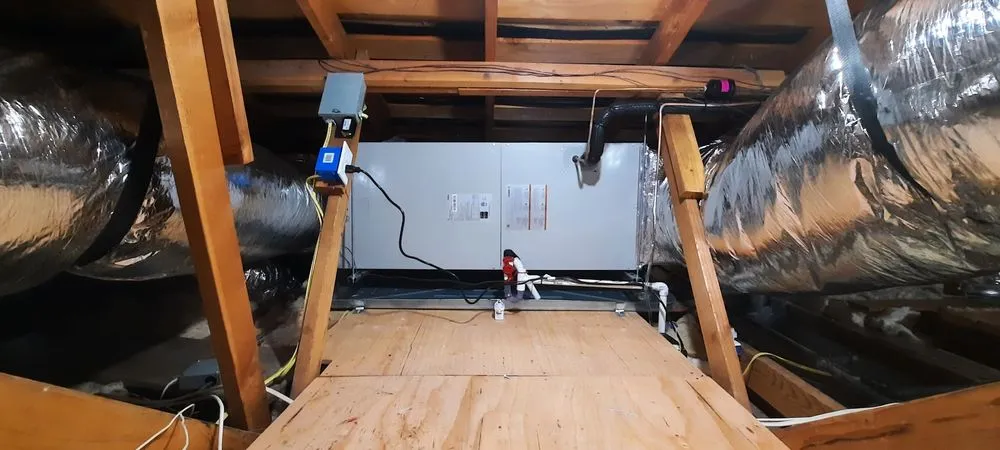 Slide of Clark & Sons Aire