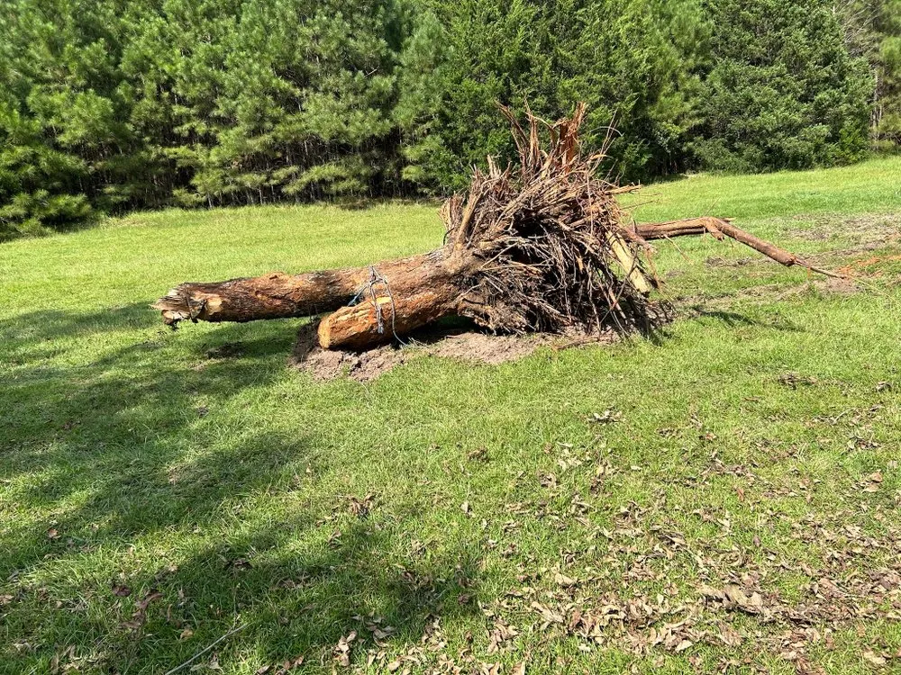 Slide of Clark All Service