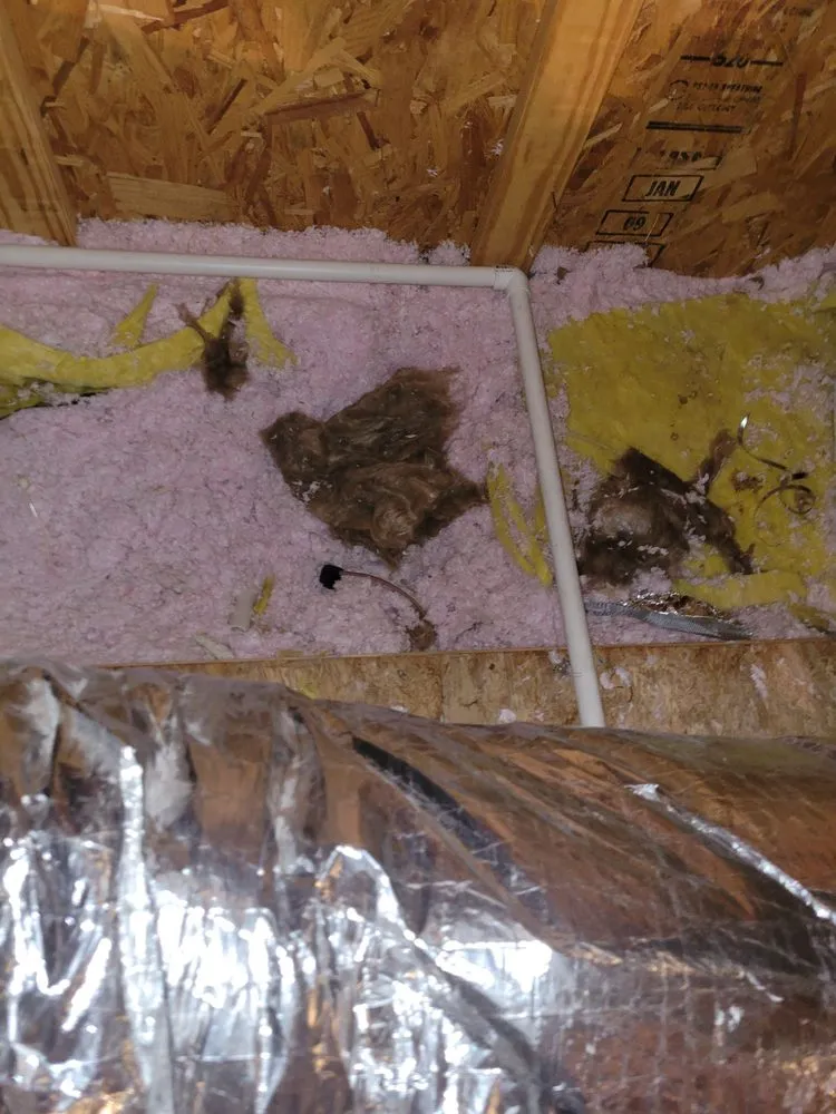 Slide of Clark's Heating and Air