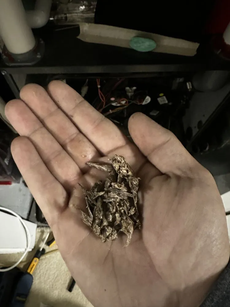 Slide of Clarks Mechanical