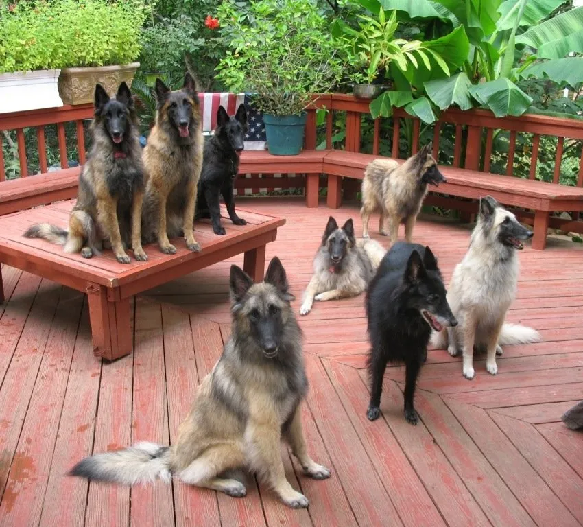 Slide of Clarksburg Heating and Air Conditioning