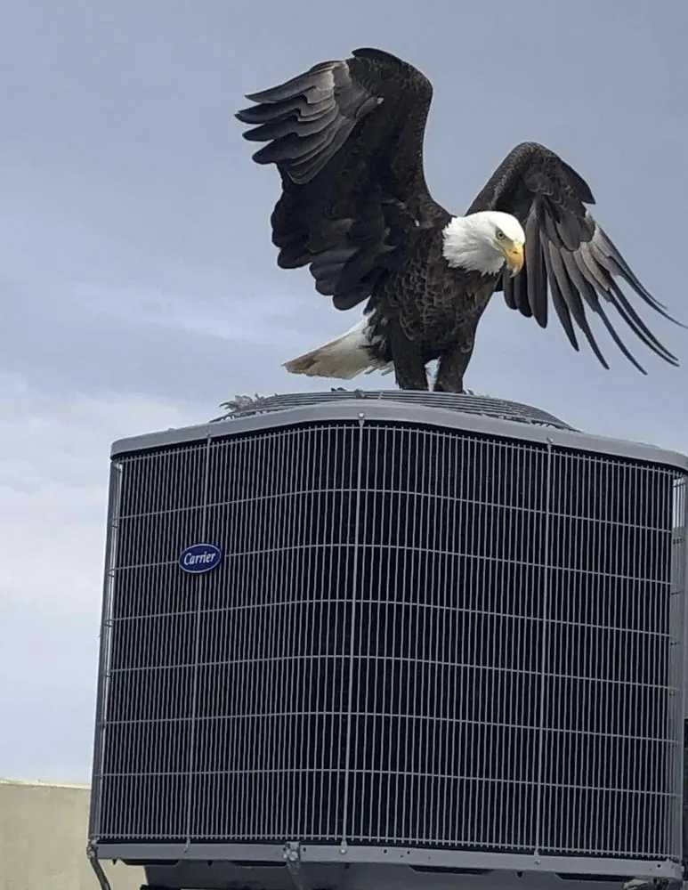 Slide of Classic Heating & Air Conditioning