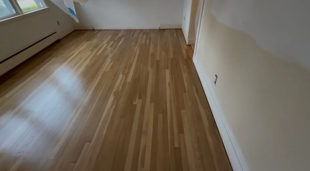 Slide of Classic Painter Plus