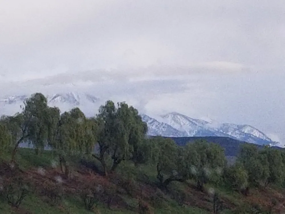 Slide of Clausen Refrigeration