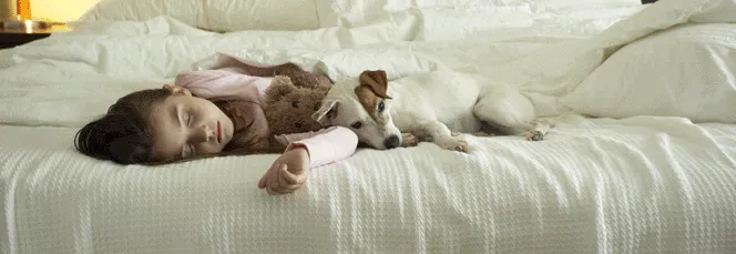 Slide of Clawson Heating & Air Conditioning