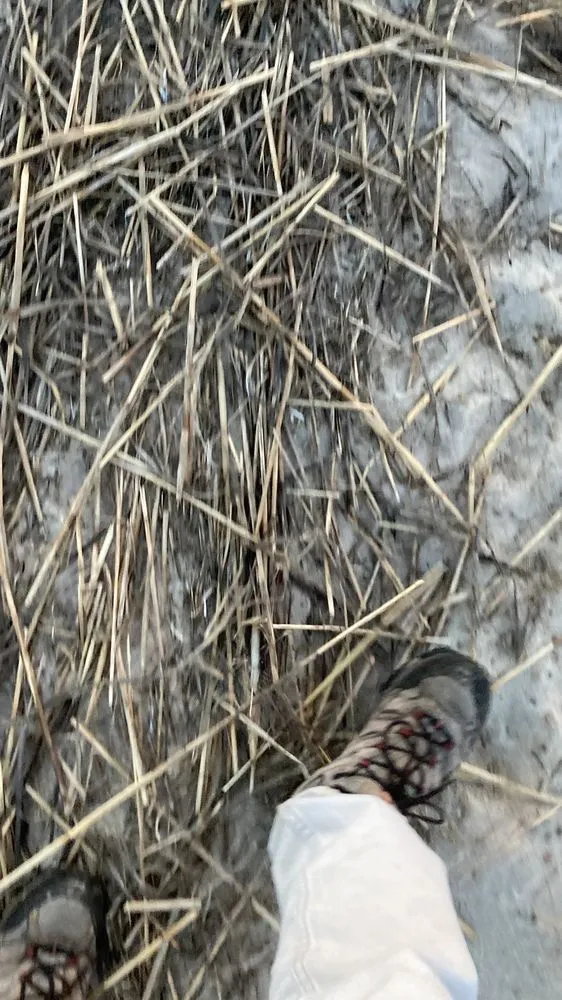 Slide of Clayton McKay