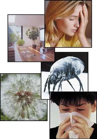 Slide of Clean 4 Clean