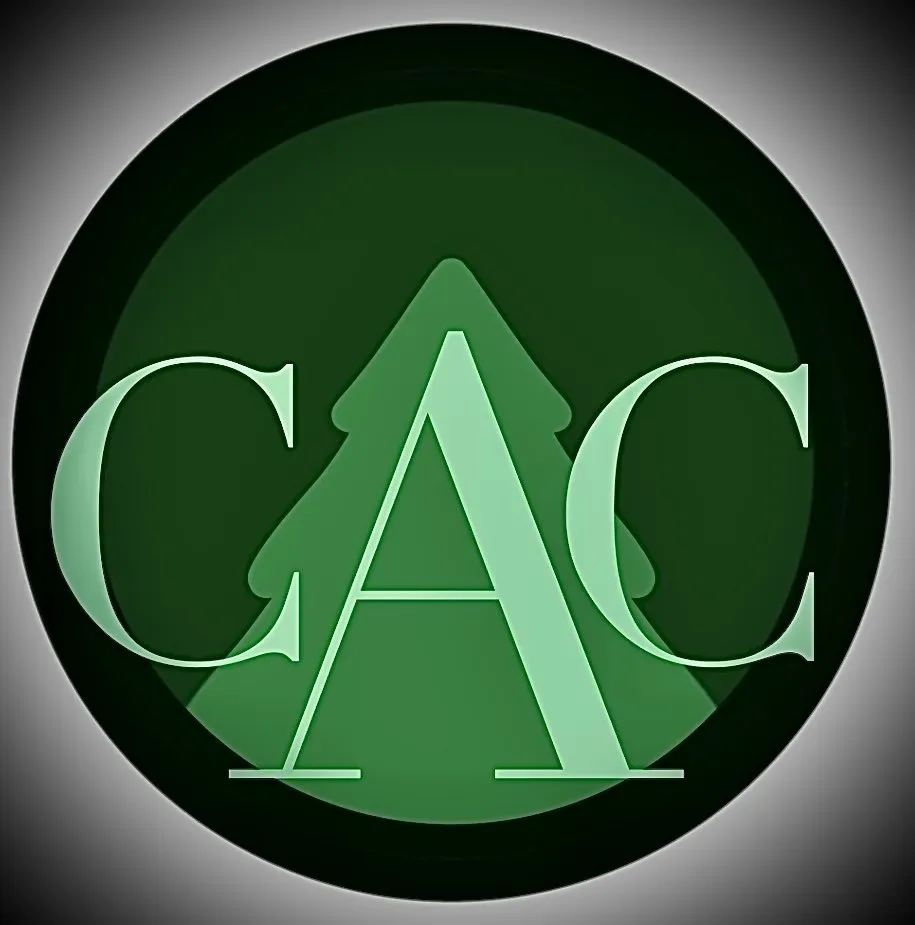 Slide of Clean Air Concepts