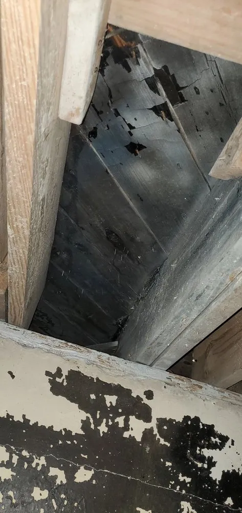 Slide of Clean Air Plus