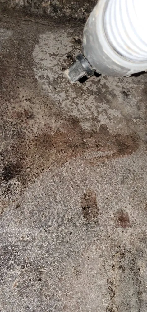 Slide of Clean Air Plus