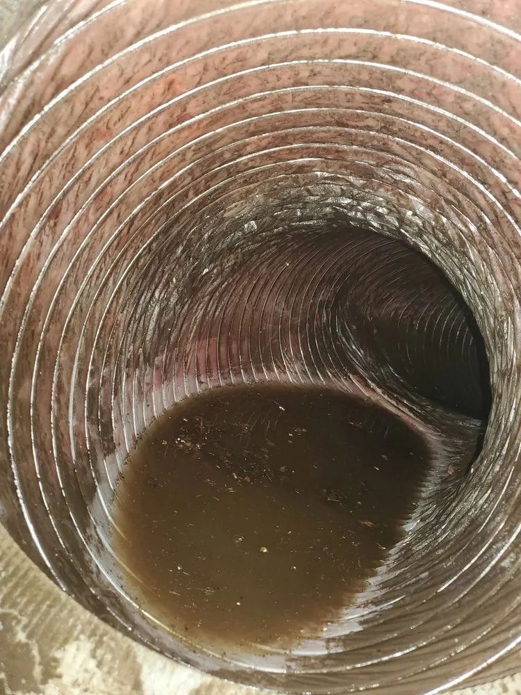 Slide of Clean Air Plus