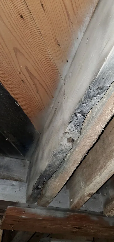 Slide of Clean Air Plus