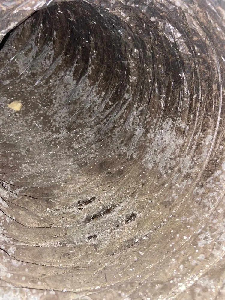 Slide of Clean Air Pro