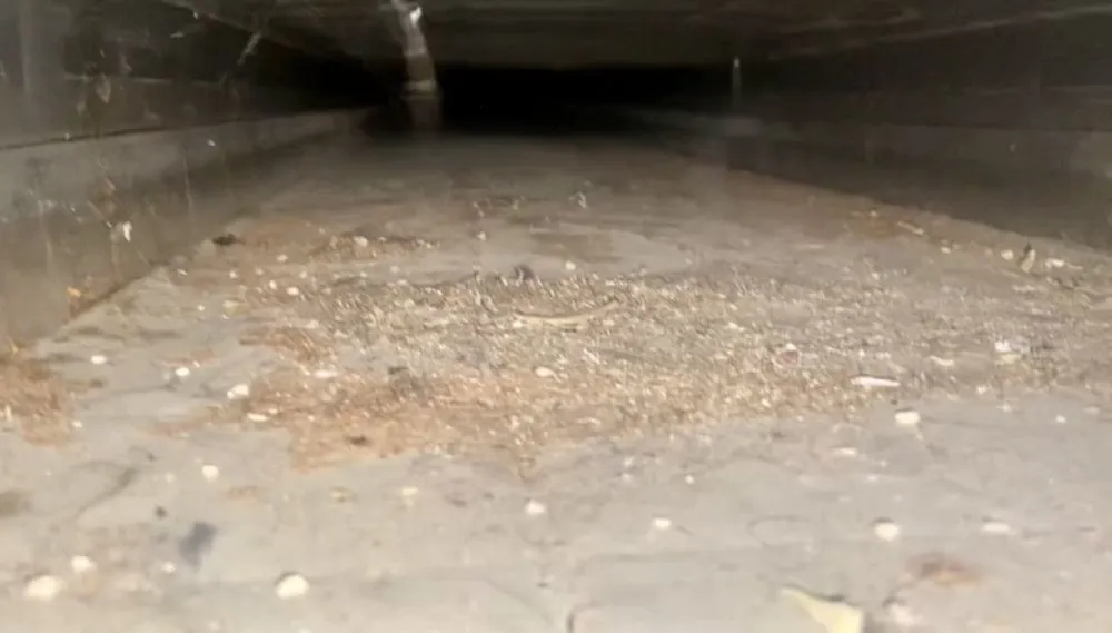 Slide of Clean Air Protectors